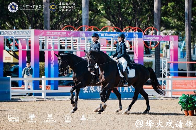 370余对组合同台竞技,第八届广东省马术联赛总决赛举行 370余对组合同台竞技,第八届广东省马术联赛总决赛举行